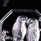 Bird Pour Box Chocolate Mold Elegant Lid with Flying Birds Design